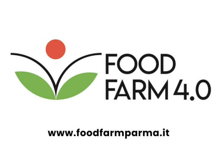 blog food farm
